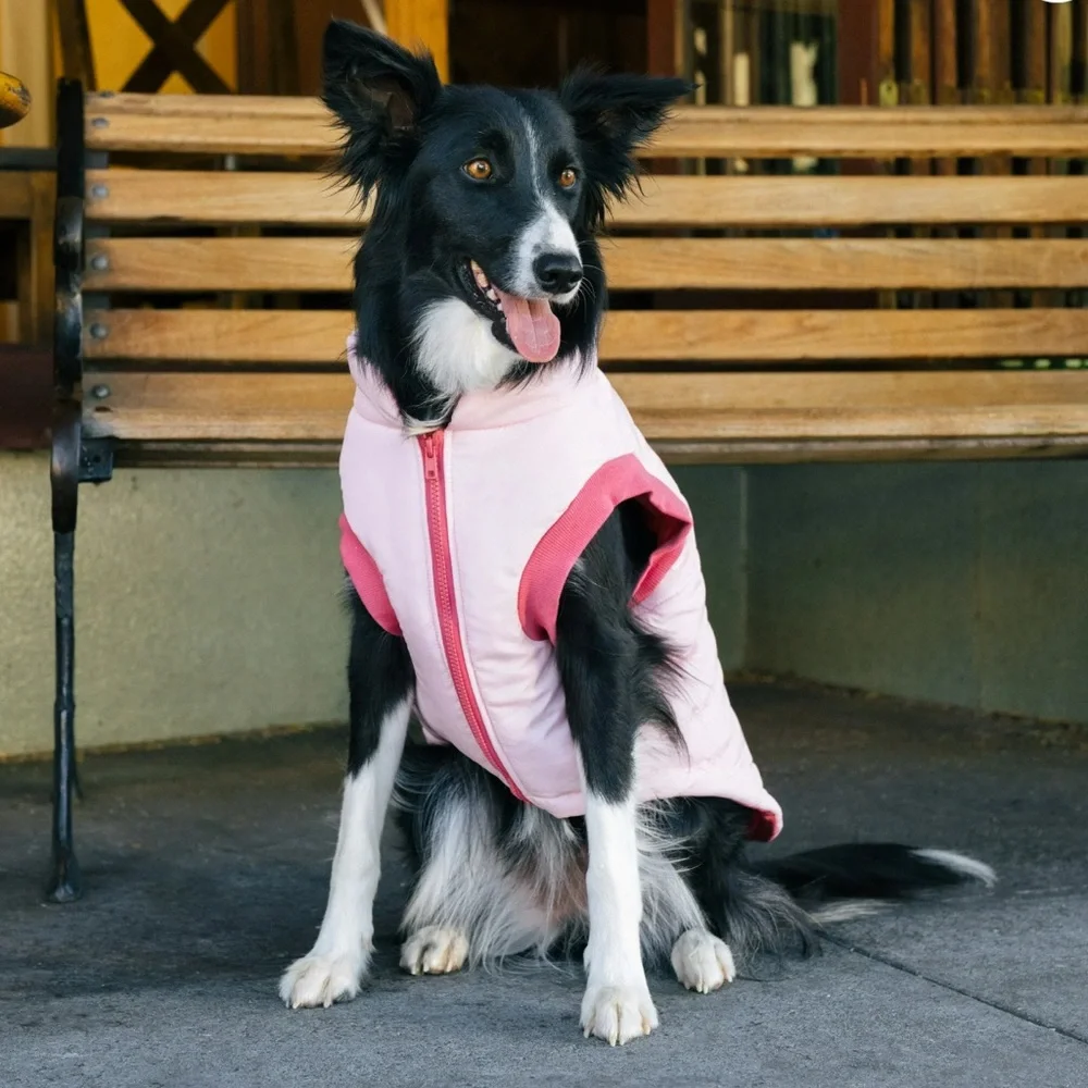 GAP PINK QUILTED BOMBER FOR PETS Pink Size LARGE New